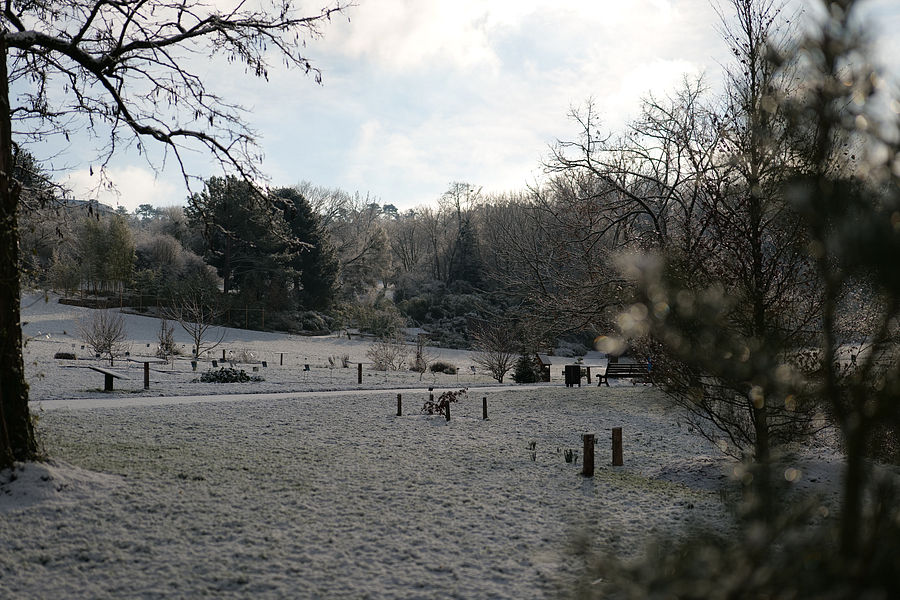 Carson Jardin botanique 1